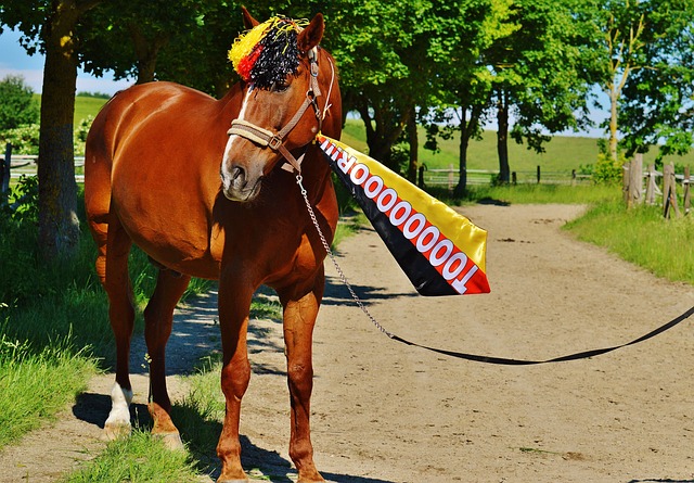 渝媒介绍重庆铜梁龙冲超庆典：也是新股东形象的首次集中展示