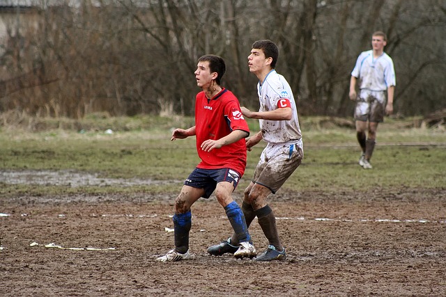 数提供了强 数提供了强