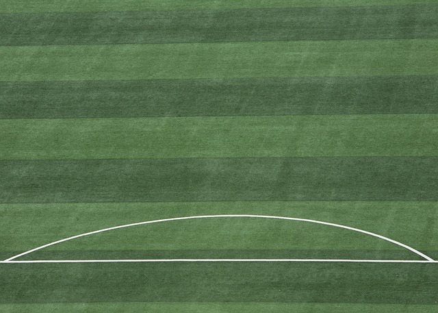 在全球层面 在全球层面