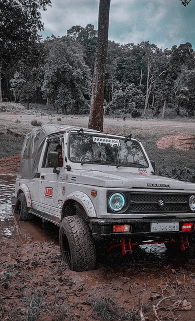 己的雄心壯 己的雄心壯